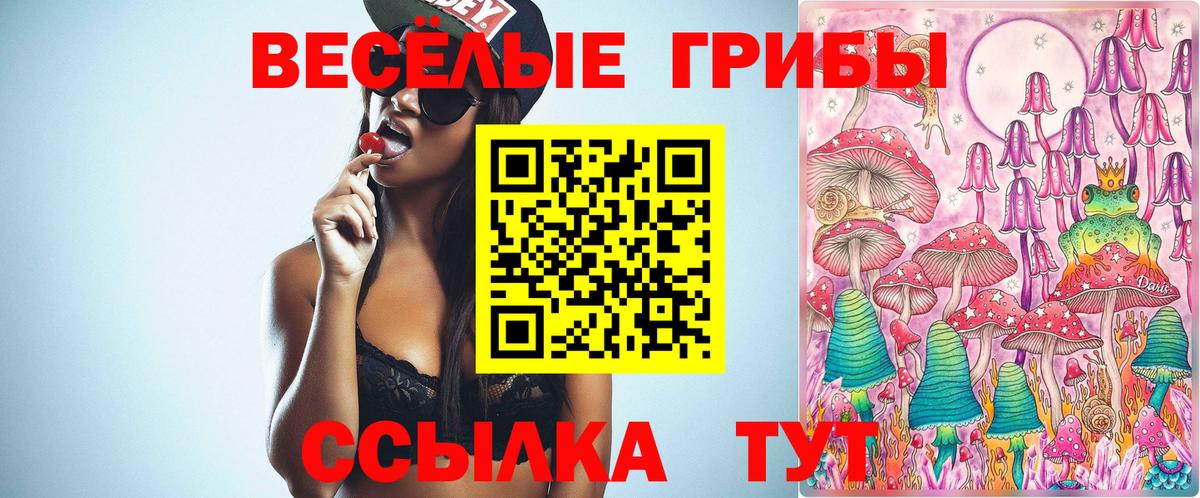 купить  сайты  Вход с VPN  Кулебаки  Псилоцибиновые грибы Psilocybe  Псилоцибиновые грибы мицелий 