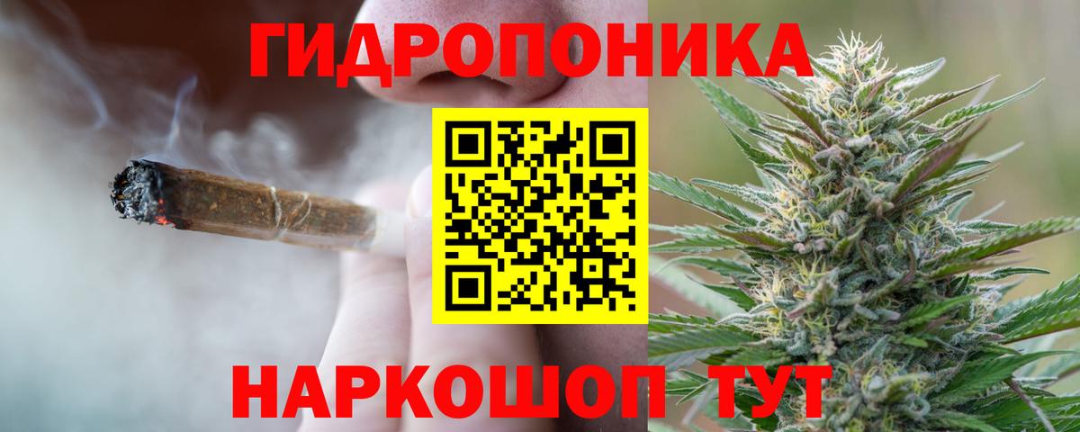 Бошки Шишки семена  Конопля OG Kush  Конопля AK-47  Конопля индика  Вход с VPN  Кулебаки 